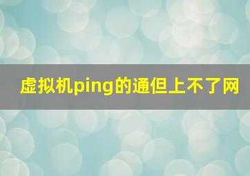 虚拟机ping的通但上不了网