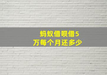 蚂蚁借呗借5万每个月还多少