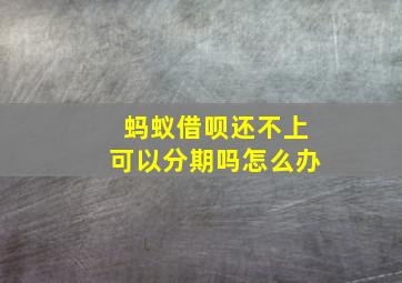 蚂蚁借呗还不上可以分期吗怎么办