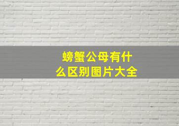 螃蟹公母有什么区别图片大全