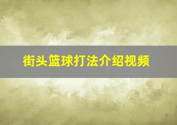 街头篮球打法介绍视频