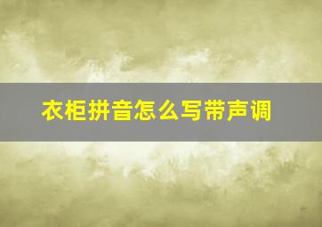 衣柜拼音怎么写带声调