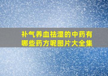 补气养血祛湿的中药有哪些药方呢图片大全集