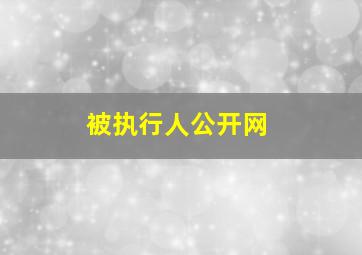 被执行人公开网