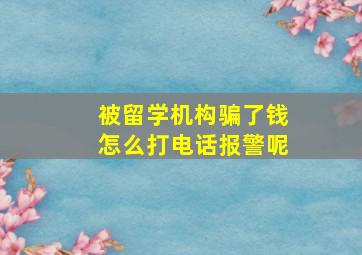 被留学机构骗了钱怎么打电话报警呢