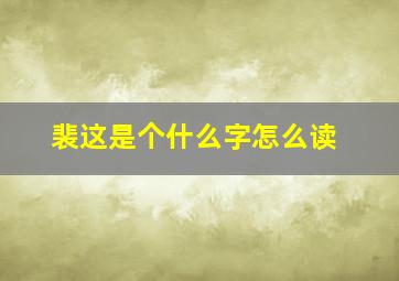 裴这是个什么字怎么读