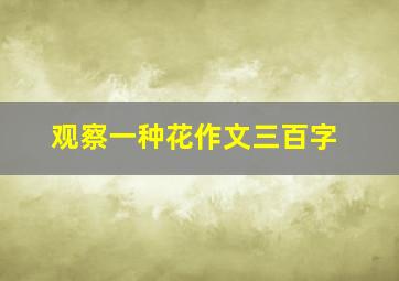 观察一种花作文三百字