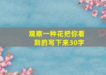 观察一种花把你看到的写下来30字