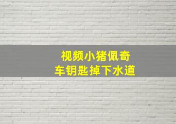 视频小猪佩奇车钥匙掉下水道