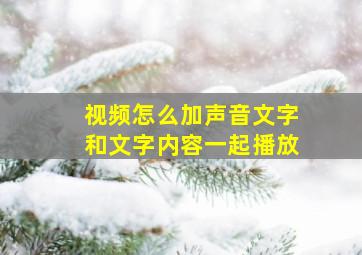 视频怎么加声音文字和文字内容一起播放