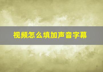 视频怎么填加声音字幕