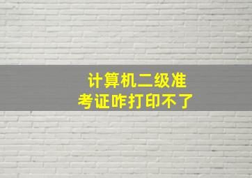 计算机二级准考证咋打印不了