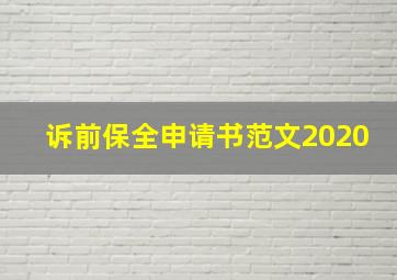 诉前保全申请书范文2020