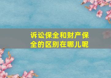 诉讼保全和财产保全的区别在哪儿呢