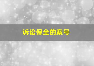 诉讼保全的案号