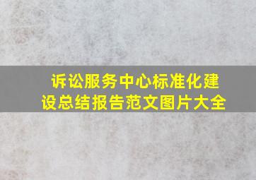 诉讼服务中心标准化建设总结报告范文图片大全