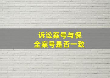 诉讼案号与保全案号是否一致