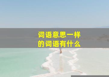 词语意思一样的词语有什么