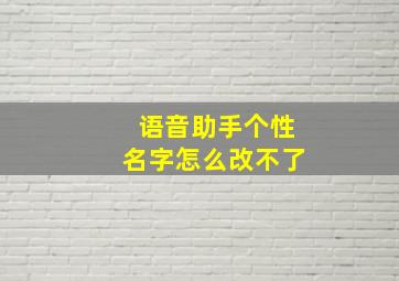 语音助手个性名字怎么改不了