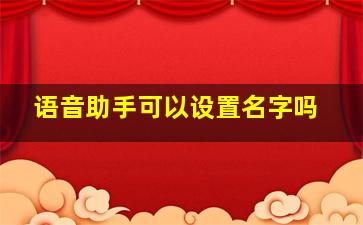 语音助手可以设置名字吗