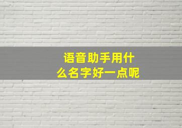 语音助手用什么名字好一点呢