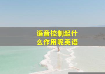 语音控制起什么作用呢英语