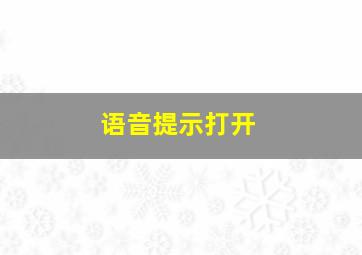 语音提示打开