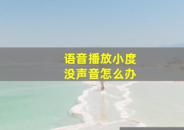 语音播放小度没声音怎么办