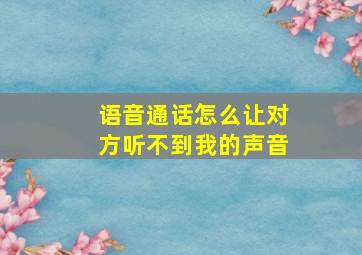 语音通话怎么让对方听不到我的声音