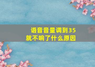 语音音量调到35就不响了什么原因