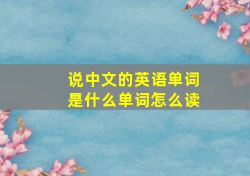 说中文的英语单词是什么单词怎么读