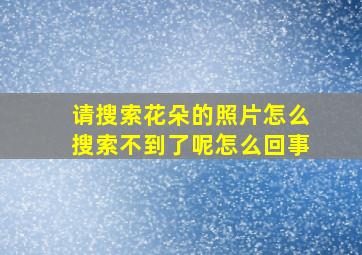 请搜索花朵的照片怎么搜索不到了呢怎么回事