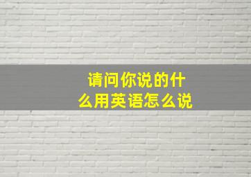 请问你说的什么用英语怎么说