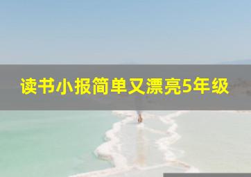 读书小报简单又漂亮5年级