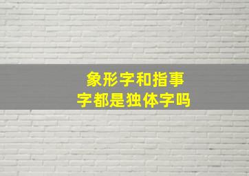 象形字和指事字都是独体字吗