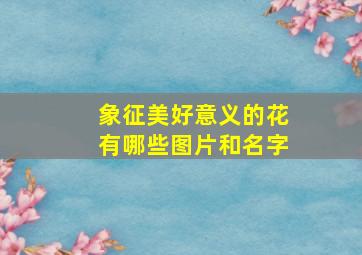 象征美好意义的花有哪些图片和名字