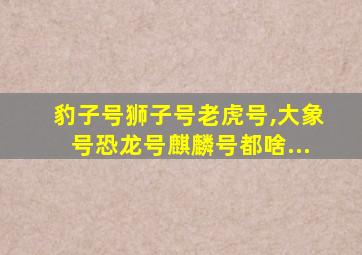 豹子号狮子号老虎号,大象号恐龙号麒麟号都啥...