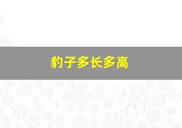 豹子多长多高