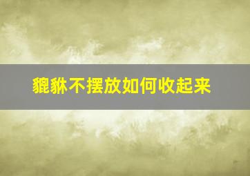 貔貅不摆放如何收起来