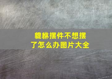 貔貅摆件不想摆了怎么办图片大全