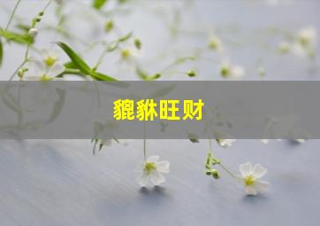 貔貅旺财