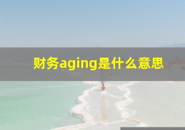 财务aging是什么意思