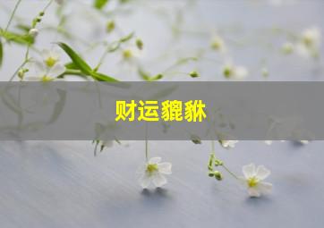 财运貔貅