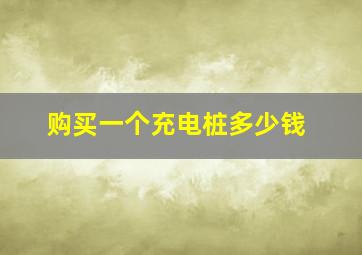 购买一个充电桩多少钱