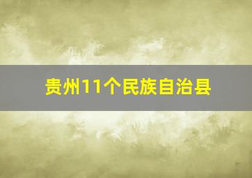 贵州11个民族自治县