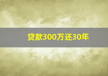 贷款300万还30年