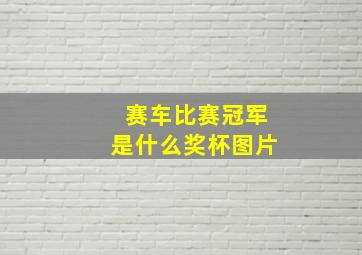 赛车比赛冠军是什么奖杯图片