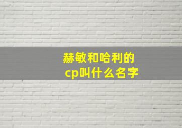 赫敏和哈利的cp叫什么名字