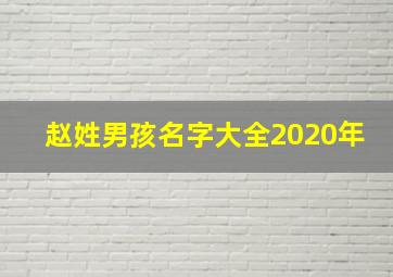 赵姓男孩名字大全2020年