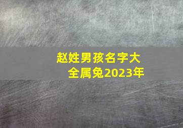 赵姓男孩名字大全属兔2023年